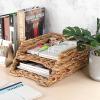 BTSKY 2 Tier Water Hyacinth Letter File Storage Basket, Woven Paper Organizer A4 File Tray Magazine Holder Woven Basket for Desk Document Office Paper Organizer and Storage(Vertical)