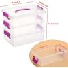 BTSKY 3 Layers Cute Dolphin Clear Plastic Pencil Box – Multipurpose Pencil Case Craft Storage Container with 1 Lid & Handle,Easy Carry & Stack Crayon Boxes Office Supplies Storage Organizer,Clear Pink(Purple)