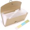 BTSKY Expanding File Folder – 13 Pockets, Small Accordion File Folder, Expandable Card Ticket Holder, Plastic Business Document Organizer, Khaki Translucent(Khaki)