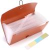 BTSKY Expanding File Folder – 13 Pockets, Small Accordion File Folder, Expandable Card Ticket Holder, Plastic Business Document Organizer, Khaki Translucent(Brown)