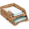 BTSKY 2 Tier Water Hyacinth Letter File Storage Basket, Woven Paper Organizer A4 File Tray Magazine Holder Woven Basket for Desk Document Office Paper Organizer and Storage(Vertical)