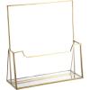 BTSKY Golden Glass Brochure Holder 8.5 x 11 Inches, Countertop Pamphlet Holder Display Stand with Business Card Holder, Trifold Flyer Holder, Clear Elegant Brochure Display Stand for Magazine Booklets(8.5”x11”)