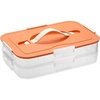 BTSKY Plastic Food Storage Container with lids, Dumpling Storage Box, Cookie Carrier Cookie Sheet with Lid, Portable Large Food Container for Snack, Fruit, Vegetables, Meat, Wontons(2-Layer, Orange)